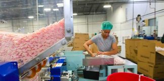 Chinese manufacturer Fuling Global is moving straw production to Mexico.