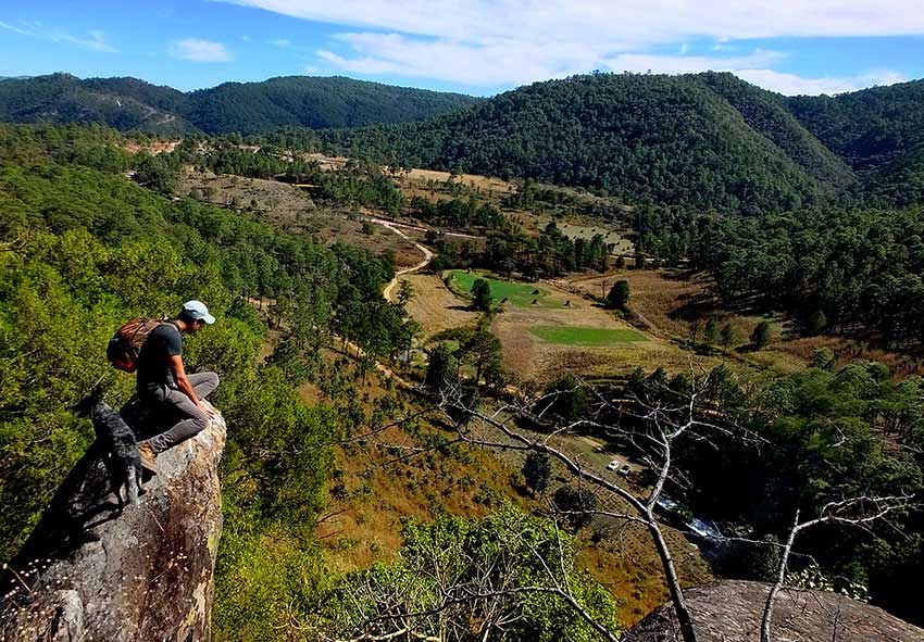 The distillery is nestled in the hills of the Sierra Jolapa.