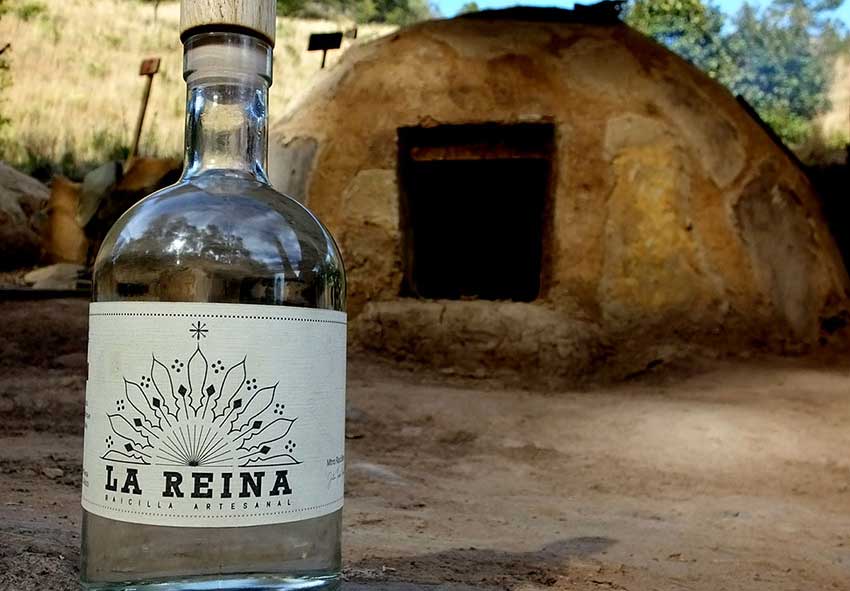 Raicilla La Reina, “queen of mezcales.”