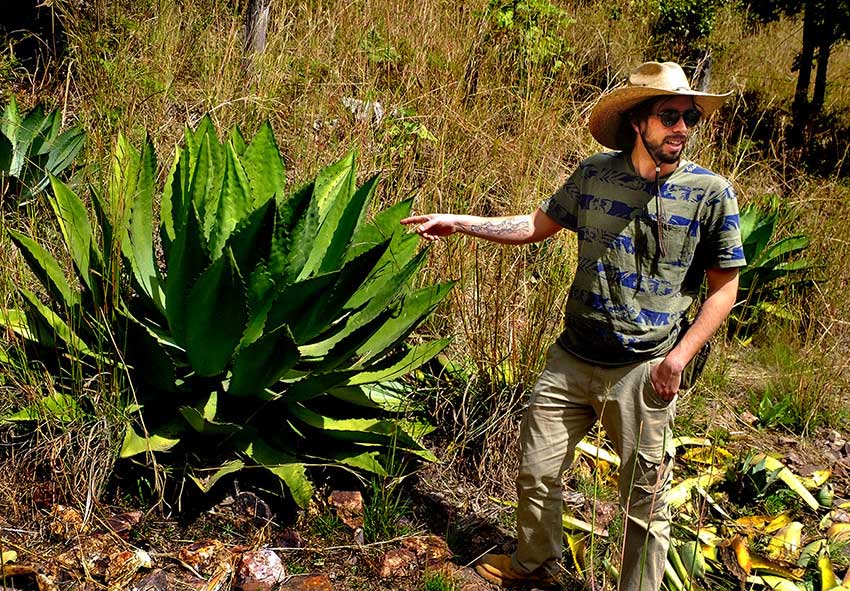 JP Mercado with the Maximiliana agave.