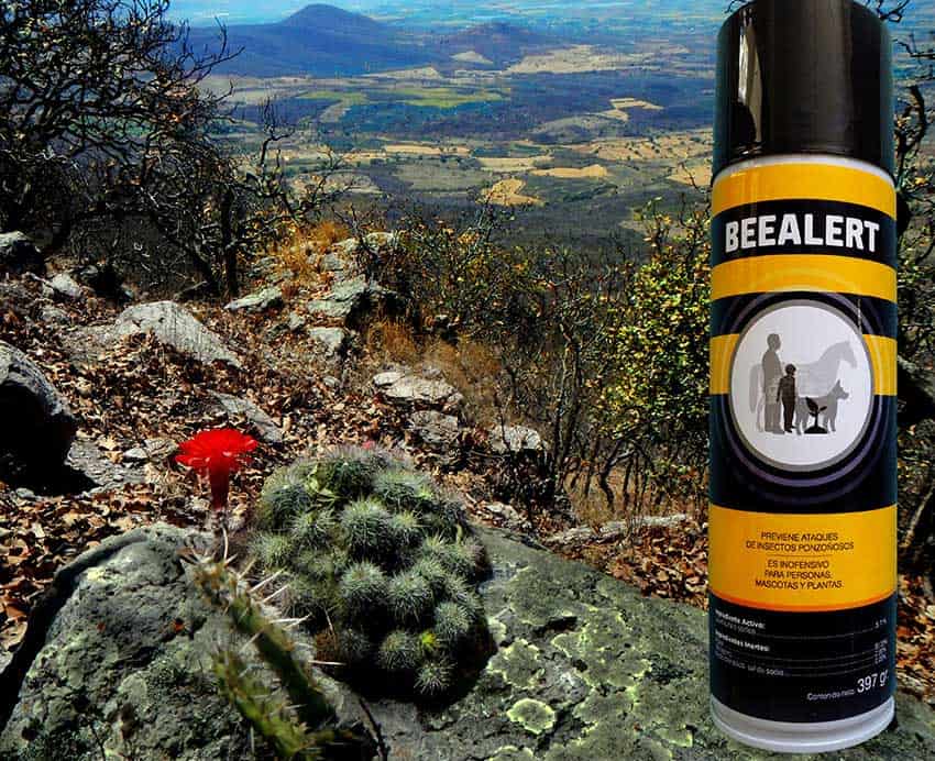 BeeAlert non-toxic spray is now in Mexico.
