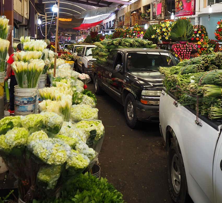 Pick ups loaded with lilies enter the market.