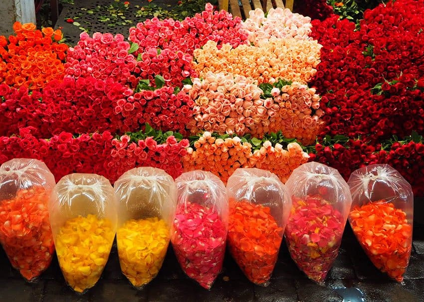 A rainbow of roses and petals to choose from.