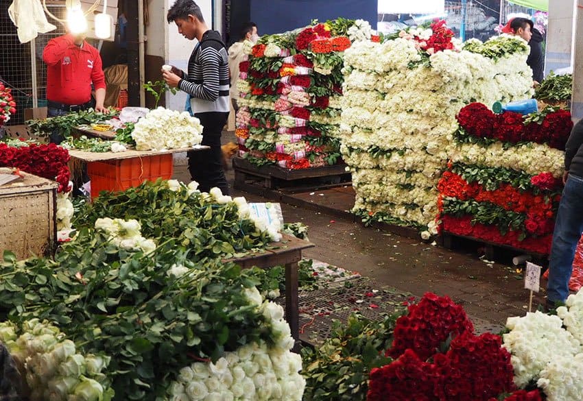 Mexico City's most colorful market is Mercado Jamaica, the flower market