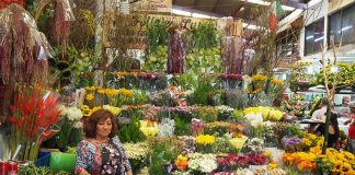 Doña Lupita holds court at Follajes Lupita