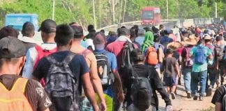 The latest caravan marches north.