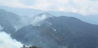 Smoke in the mountains of the Triunfo biosphere reserve.
