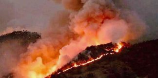 Fires are devouring the Chimalapas jungle of Oaxaca.
