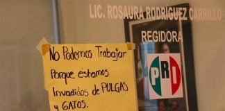 'We cannot work because we have been invaded by fleas and cats,' the sign advises.