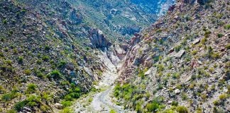 The San Pedro Mártir Sierra where a 68-year-old San Felipe woman is missing.