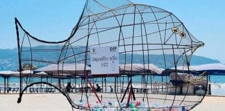 This PETZ is gobbling garbage in Acapulco.