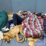 Potential cartel recruits.