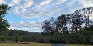 A Mexico City VW bus fanatic offers roadtrips and even weddings in the iconic van.