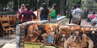 The author's rug, purchased at the antiques market in Colonia Doctores.