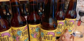 Apolo, made for beer drinkers and dogs.