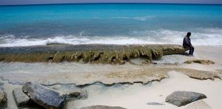 Quintana Roo projects would address beach erosion.