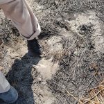 Evidence of heat coming from the ground in Chalco.