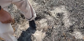 Evidence of heat coming from the ground in Chalco.