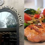 Salmon is one of the dishes on the menu at science council headquarters.