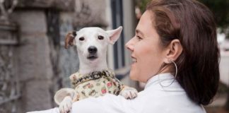 DogHero provides an accommodation service for pet owners.