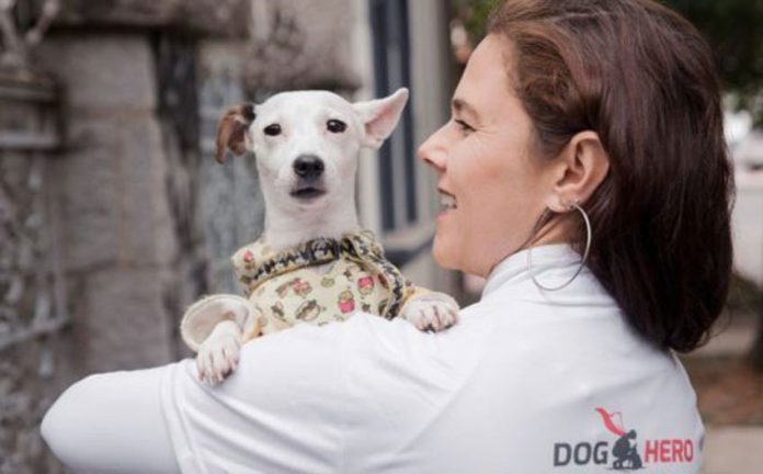 DogHero provides an accommodation service for pet owners.