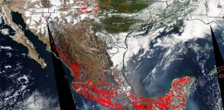 NASA satellite image indicating active wildfires in Mexico.