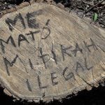 'Mitikah killed me,' reads the stump, once a tree that had to come down for a new commercial center.
