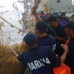 Combating narcos has been a key focus of the navy but now marines are fighting sargassum as well.