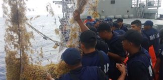 Combating narcos has been a key focus of the navy but now marines are fighting sargassum as well.