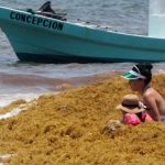 A woman and child appear unfazed by the surrounding seaweed.