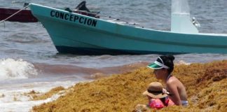 A woman and child appear unfazed by the surrounding seaweed.