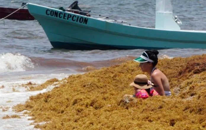 A woman and child appear unfazed by the surrounding seaweed.