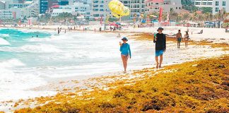 Sargassum could be devastating on tourism this year.