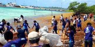 One way to spend a weekend at the beach in Quintana Roo.
