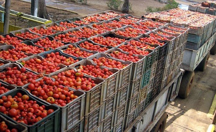 Mexico is a big supplier of tomatoes to the US.
