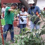 Free trees are given away at Mexico City nursery.