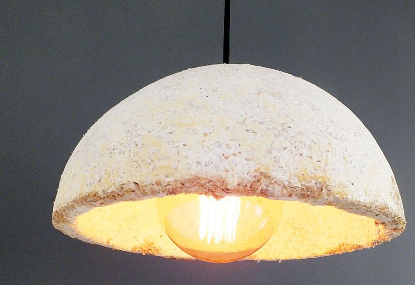 A lampshade: mushroom shaped and mushroom grown.