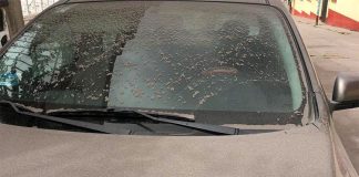 Ash coats a car yesterday in Morelos.