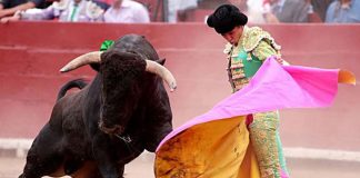 A Mexican bullfight