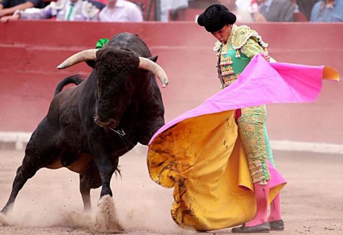 A Mexican bullfight