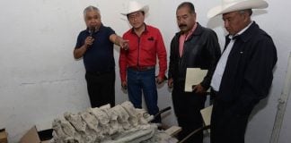 Members of Tepalcayotl with fossils that have been discovered in Puebla.