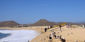 Fishermen at Puntos Lobos beach, Todos Santos.