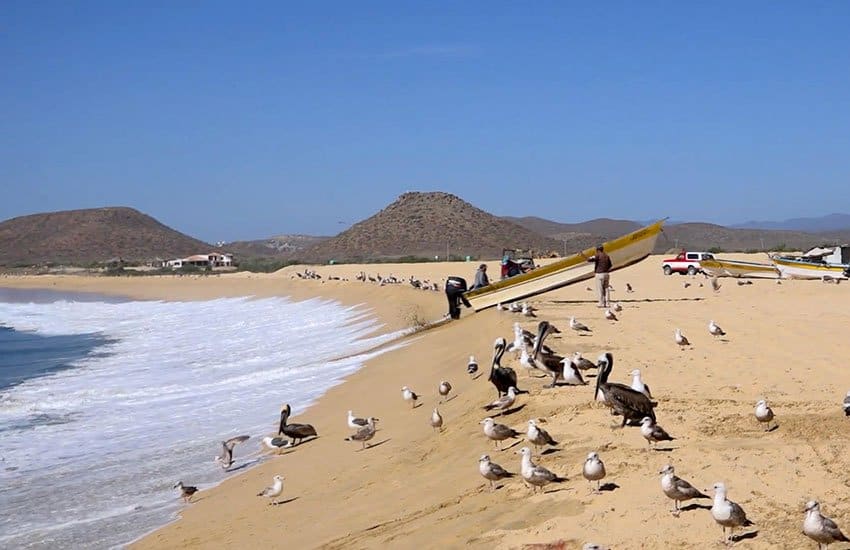 Fishermen at Puntos Lobos beach, Todos Santos.