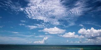 Sargassum barrier in Playa del Carmen.