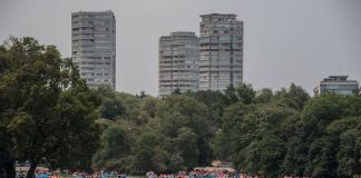 More trees will grow in Mexico City under the mayor's new environmental plan.