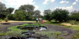 Locals say there are about 15 pools of boiling mud at Los Negritos.