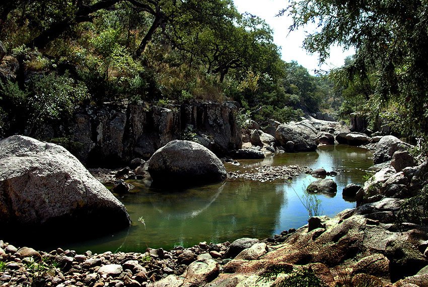 The Patitos river further north: a great place to hunt for rare plants.