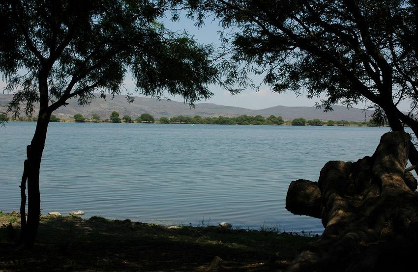 Los Negritos Lake is connected to Lake Chapala, but is said to be clean.