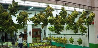 Turns out the banana varieties go quite deep at the Central de Abasto.