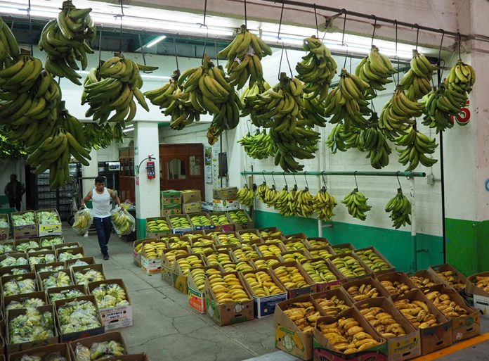 Turns out the banana varieties go quite deep at the Central de Abasto.